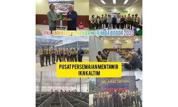 Kegiatan PKL BPDAS Mahakam Berau, Persemaian IKN  Nusantara – Kalimantan Timur