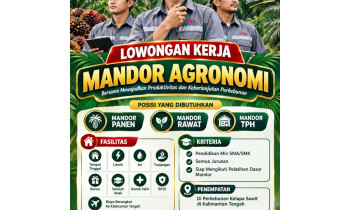 PT. BEST AGRO INTERNATIONAL & SMKK BAKTI RIMBA Peluang karir Alumni SMKK Bakti Rimba