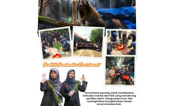 Praktik Pembuatan Enrichment Konservasi Satwa Liar