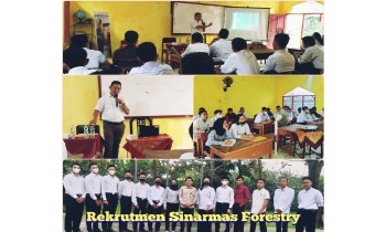 Rekrutmen Sinarmas Forestry
