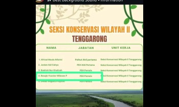 Alhamdulillahirabilalamin, atas izin Allah SWT alumni SMKKBR kembali diterima dan siap mengabdi di Seksi Konservasi Wil. II Tenggarong.