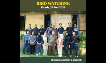 BIRD WATCHING Kamis, 29 Mei 2025 Sukses dan eksis selalu Bakti Rimba bersama Pak Teguh Hartono dan Pak Gelar Gariwangsan⁩ dalam kegiatan di Bamboo Sanctuary Pancawati 🌱
