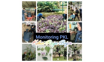 MONITORING PRAKTIK KERJA LAPANG (PKL) Kebun Raya Bogor